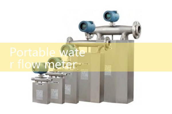 Portable water flow meter